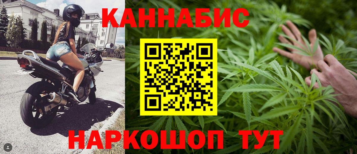 Бошки марихуана индика Майкоп